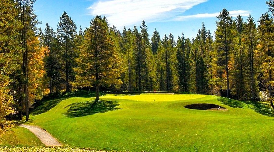 Golfhull omgitt av tett barskog og høstfargede trær